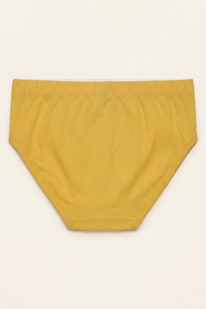 Lee Cooper Boys Harry Potter Briefs (Pack of 3) - Multicolor — image 9